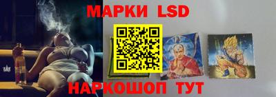 гидропоника Гусев